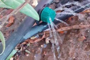 منظومة ري متطورة لحديقة المستشفى